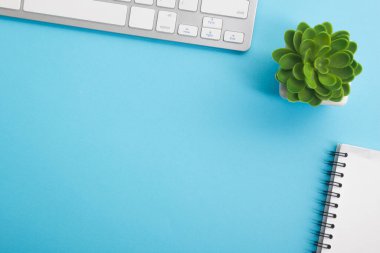 Dizüstü bilgisayarı, akıllı telefonu ve bir fincan kahveli diğer iş malzemeleri olan mavi masa ofisi. Metni kopyalamak için üst görünümü kullan. Desenci çalışma alanı düz masa üzerinde temel elementler yatıyordu