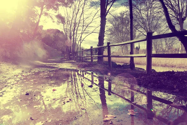 Sonbahar manzarası, kırsal yol ve su birikintisi — Stok fotoğraf