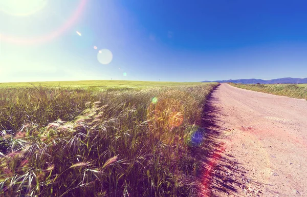 Natureza cenário por do sol e estrada — Fotografia de Stock