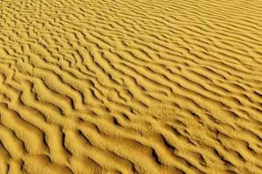 Çöl kumları. Sahara çöl kumulları gün batımında