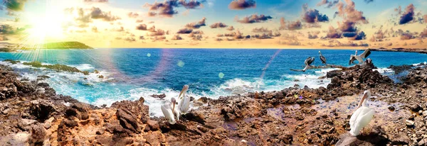 Teneriffa ön landskap. Havet och vackra stranden kusten — Stockfoto