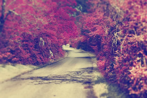 Carretera y destino de montaña — Foto de Stock