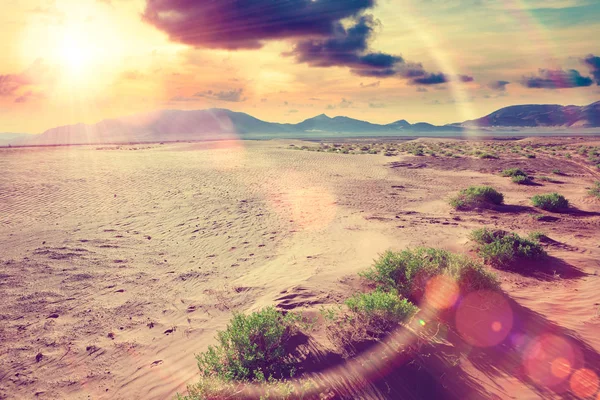 Desert sunrise.Desert viagens aventuras fundo — Fotografia de Stock