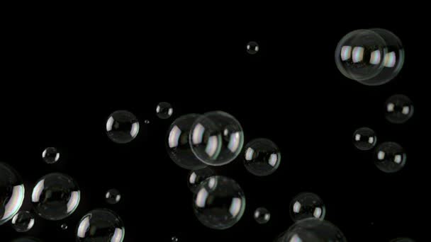 Bubblor Eller Såpbubblor Över Svart Background Illustration Bakgrund — Stockvideo