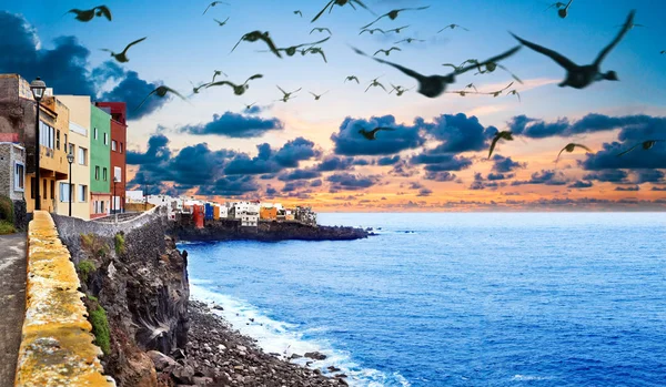 Paisaje escénico.Islas Canarias Paisaje.Tenerife . — Foto de Stock