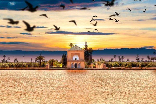 Живописный Menara garden.Travel to morocco.Marrakech — стоковое фото