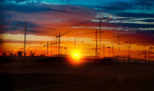 Krane und Hochbau — Stockfoto