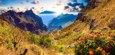 Masca vadisi. Kanarya adası. Tenerife.Painic Dağı manzarası. Kaktüs, bitki örtüsü ve Tenerife 'de günbatımı manzarası.
