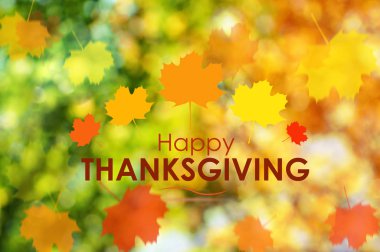 Şükran günün kutlu olsun tebrik