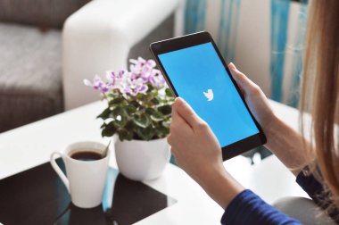 Chlumcany, Çek Cumhuriyeti, 28 Temmuz 2015: Twitter kullanan kız