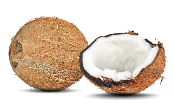 Dois cocos isolados — Fotografia de Stock