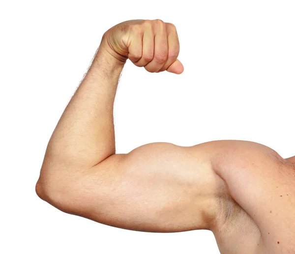 Biceps muskeln isolerade — Stockfoto