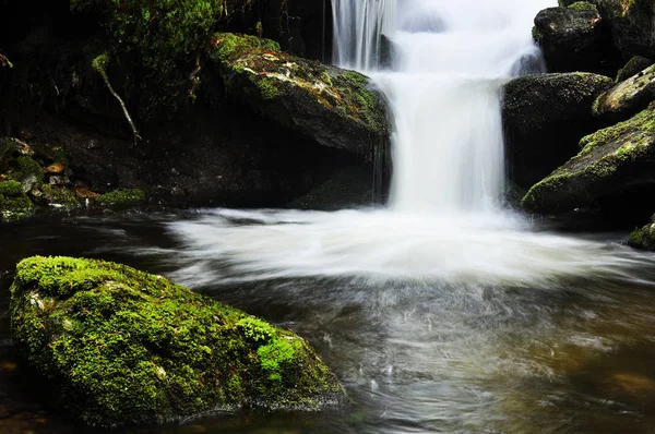 Cascada en el parque nacional Sumava, República Checa — Foto de Stock