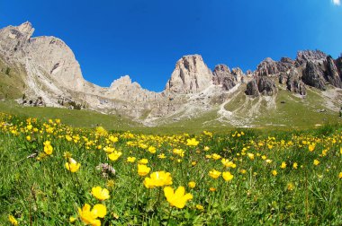 Rosengarten dağ