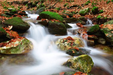 Çek Cumhuriyeti'nde sonbahar creek
