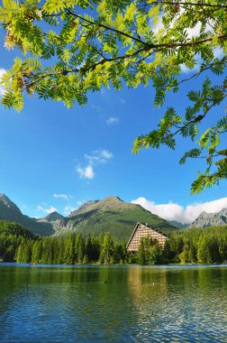 Milli Parkı yüksek Tatra Gölü Strbske Pleso