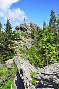 Grosser Osser in Germany