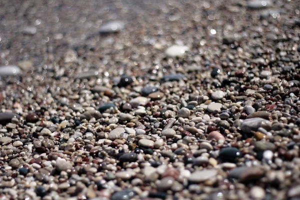 Камушек Пляже Лицензионные Стоковые Фото