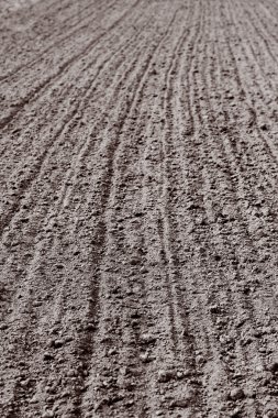 toprağa sürülmüş gozlerime