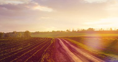 Yol alanları arasında