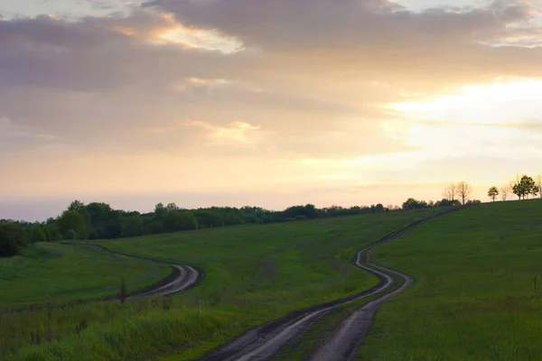 Two roads among the meadows — Stock Photo, Image