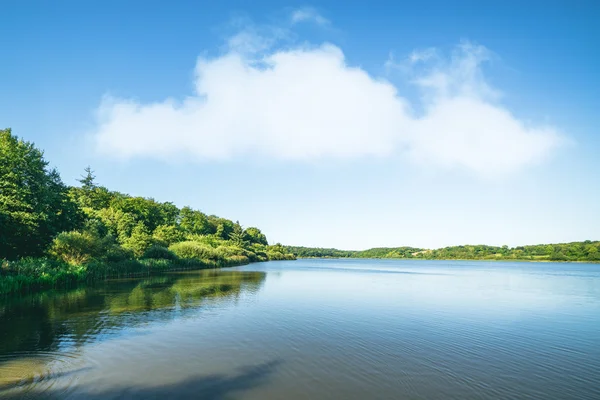 Lake landschap met groene bomen — Stockfoto