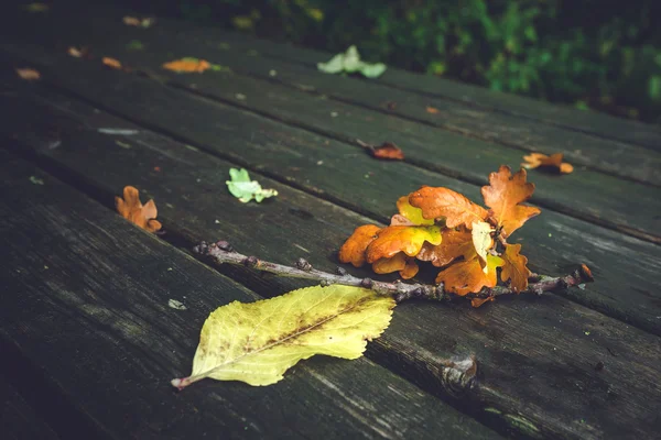 Herfstbladeren op een houten bankje — Stockfoto