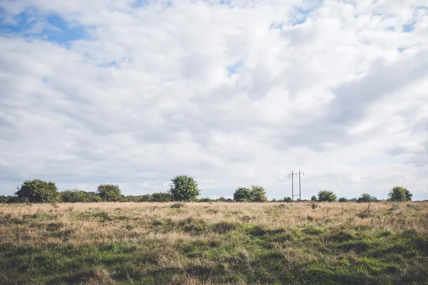 Paysage de prairie avec buisson et arbres — Photo