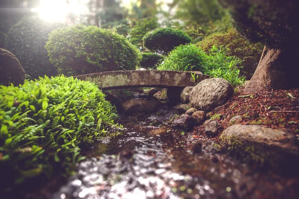 Smale kamienny most w duchowej ogród — Zdjęcie stockowe