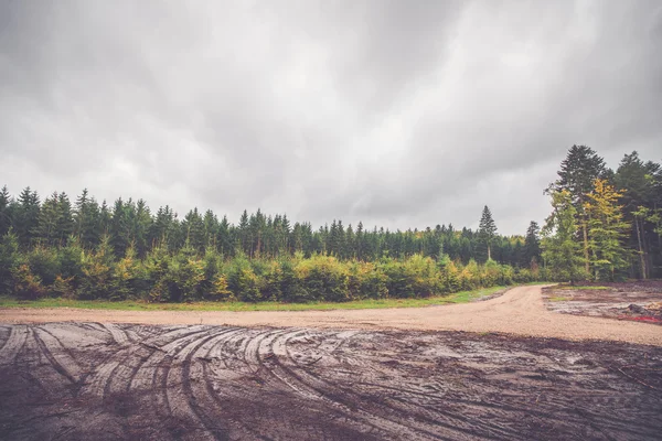 Pistes de roues dans une forêt — Photo