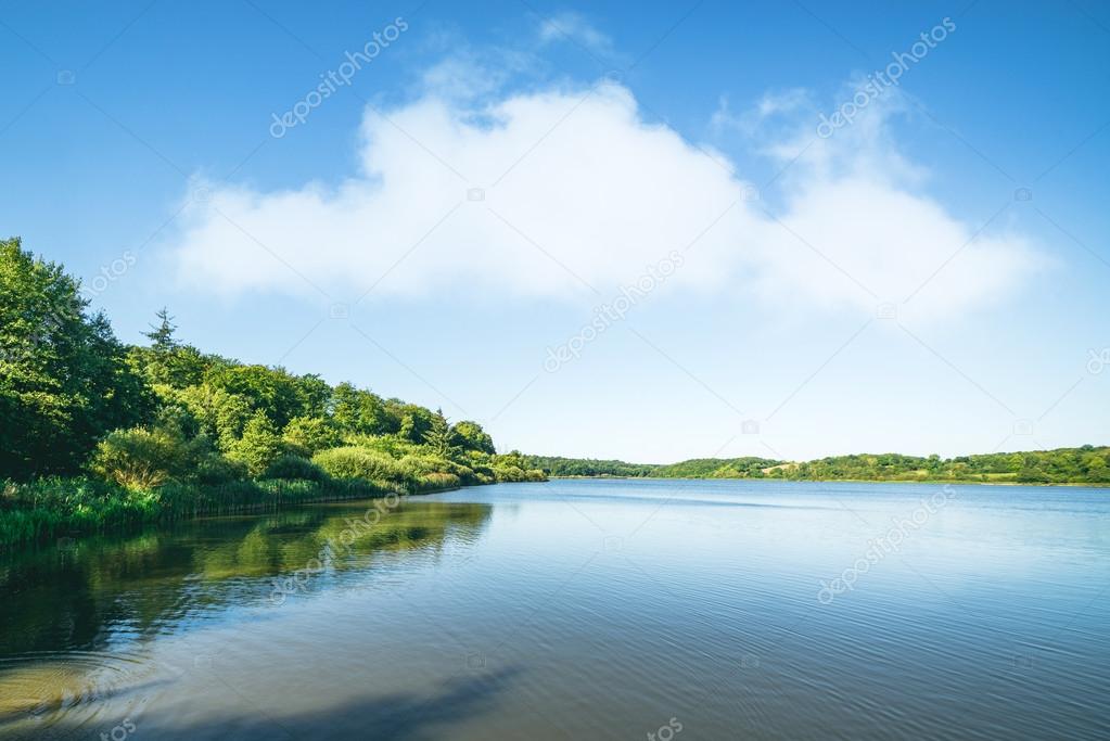 Lake scenery with green trees
