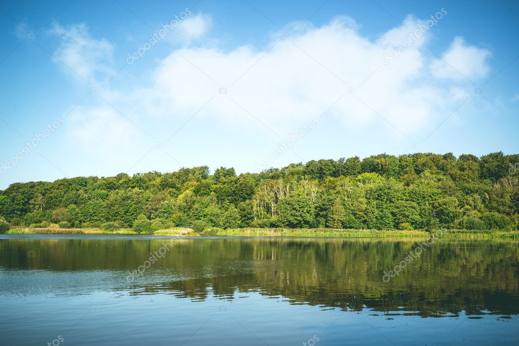 Idyllic lake landscape with trees