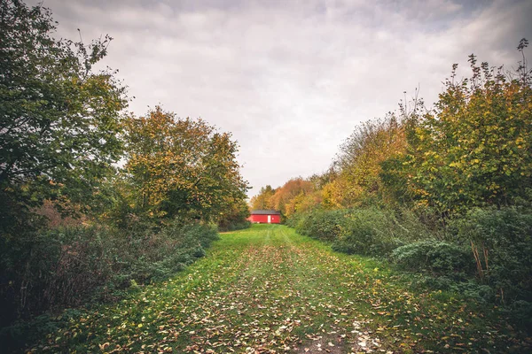 Küçük kırmızı Kabin bir bahçe içinde — Stok fotoğraf