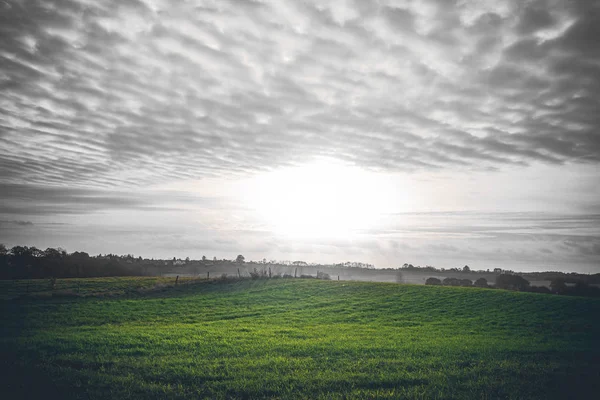 农村日出与绿色的田野 — 图库照片