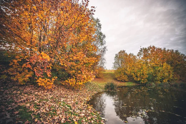 Kleurrijke bomen door een kleine vijver in de herfst — Stockfoto