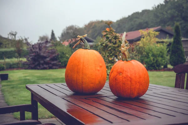 Pumkins on a table in a garden — Stock Photo, Image