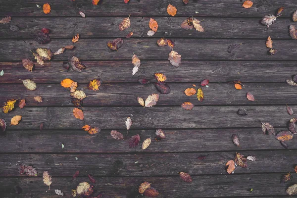 Feuilles d'automne sur un fond en bois — Photo