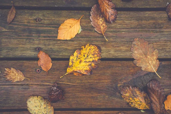 Hojas de otoño sobre fondo de madera —  Fotos de Stock