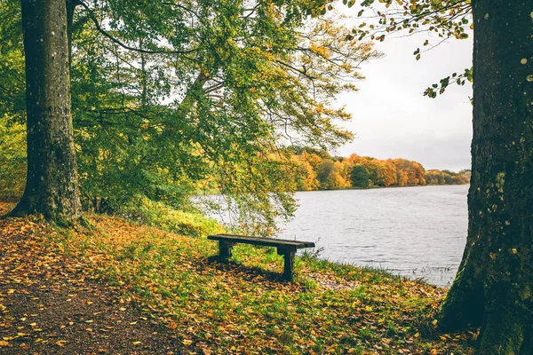 Осінній пейзаж з маленькою дерев'яною лавкою — стокове фото