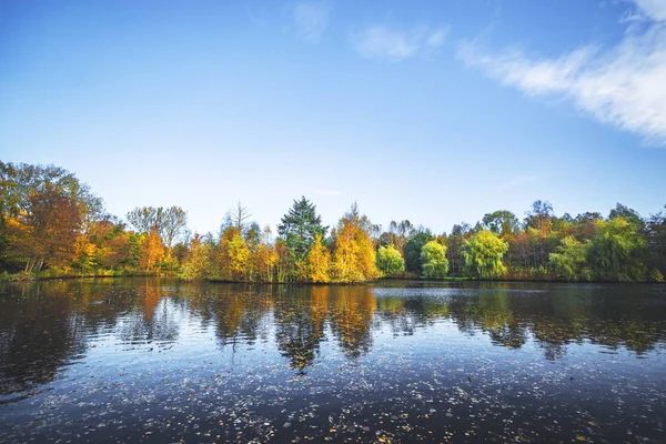 Paisaje de otoño con un lago y árboles — Foto de Stock