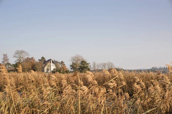 Villa in natura selvaggia con erba — Foto Stock