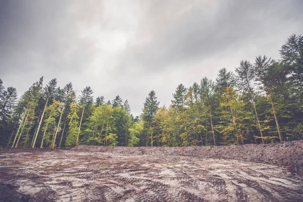 Colorful trees around a cleared area