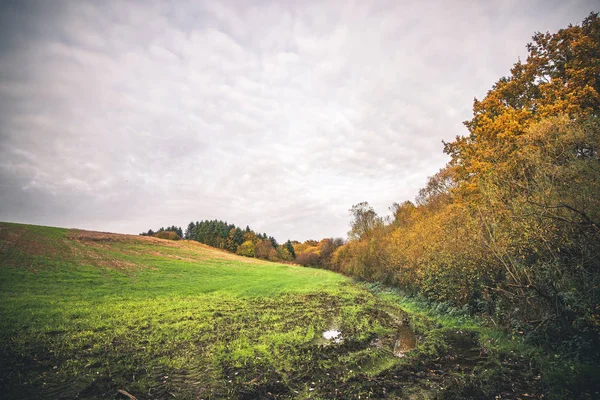 Błotniste pole z kałuży jesienią — Zdjęcie stockowe