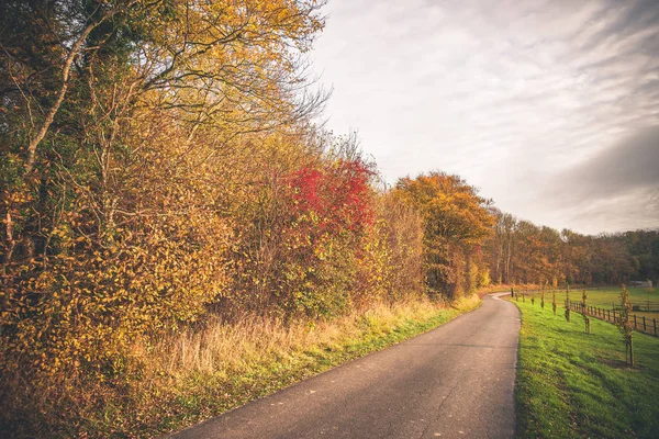 Paesaggio di campagna in autunno — Foto Stock