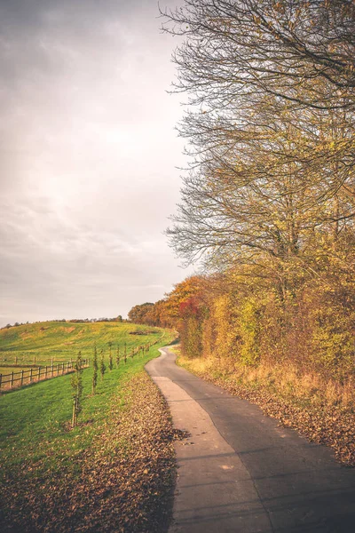 Estrada curvilínea em uma paisagem rural — Fotografia de Stock