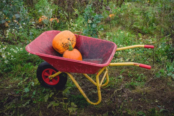 秋の農村環境で赤い手押し車でカボチャ — ストック写真