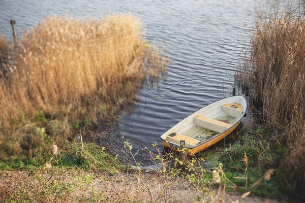 Yellow fishing boat in a dark lake in the autumn season surrounded by colorful reeds in the water