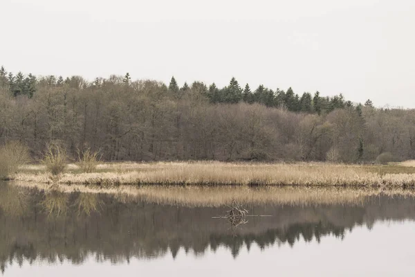 Paisagem do lago no outono com reflexões — Fotografia de Stock