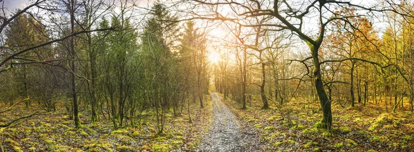 Panorama landschap met een pad dat door — Stockfoto