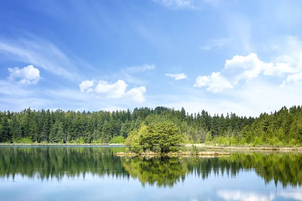 五彩缤纷的湖景映衬着树木 — 图库照片